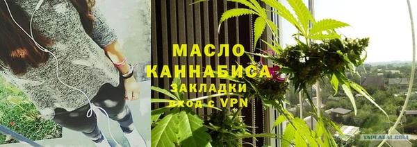 мет Алексин