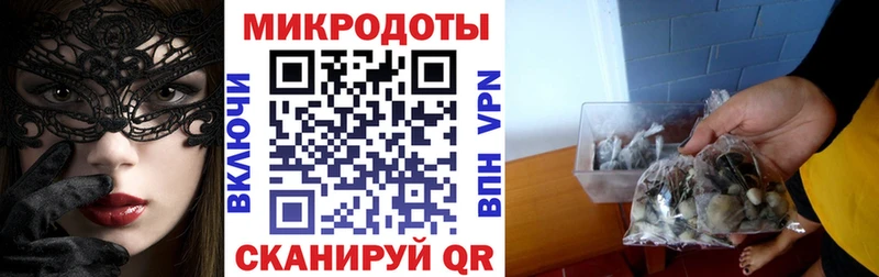 Псилоцибиновые грибы Cubensis  блэк спрут как зайти  Отрадная 